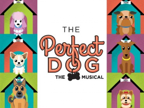 the perfect dog musical